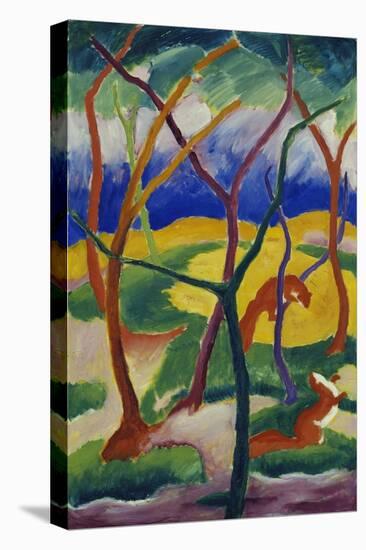 Stretched Canvas Print, , large
