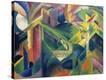 Stretched Canvas Print
