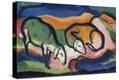 Stretched Canvas Print