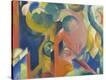Stretched Canvas Print