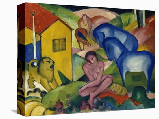 Stretched Canvas Print, , large