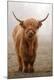 Premium Photographic Print