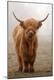 Premium Photographic Print