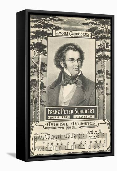 Franz Schubert and Music-null-Framed Stretched Canvas