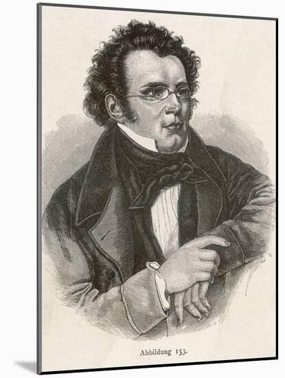 Franz Schubert-null-Mounted Photographic Print