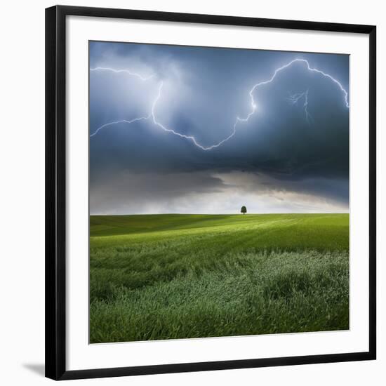 Photographic Print, , large