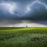Thunderstorm Cell Over the Alb Plateau-Franz Schumacher-Photographic Print