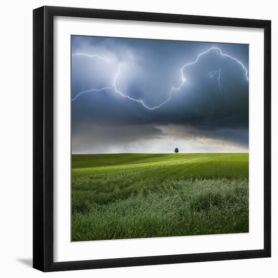 Photographic Print, , large