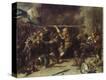 Stretched Canvas Print
