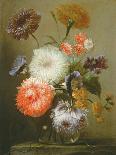 Still Life of Flowers, 1699-Franz Werner Tamm-Framed Giclee Print