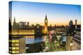 Stretched Canvas Print