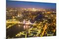 Photographic Print
