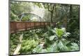 Premium Photographic Print
