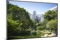 Premium Photographic Print