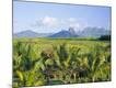 Photographic Print