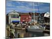 Photographic Print