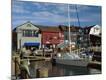 Photographic Print