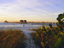 Newport Bridge and Harbor at Sunset, Newport, Rhode Island, USA-Fraser Hall-Photographic Print