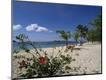 Photographic Print