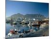 Photographic Print