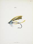 A Fishing Fly and Hook, Fishing Tackle-Fraser Sandeman-Giclee Print