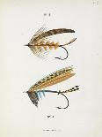 Salmon Fly. Fishing Tackle-Fraser Sandeman-Giclee Print
