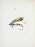 Salmon Fly. Fishing Tackle-Fraser Sandeman-Giclee Print