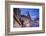 Frauenkirche, Neumarkt, Dresden, Saxony, Germany-Jon Arnold-Framed Photographic Print