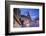 Frauenkirche, Neumarkt, Dresden, Saxony, Germany-Jon Arnold-Framed Photographic Print