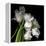 Frayed Tulips-Magda Indigo-Framed Premier Image Canvas