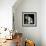 Frayed Tulips-Magda Indigo-Framed Premium Photographic Print displayed on a wall