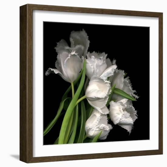 Frayed Tulips-Magda Indigo-Framed Premium Photographic Print