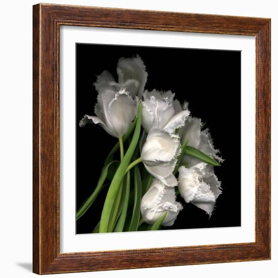 Frayed Tulips-Magda Indigo-Framed Premium Photographic Print