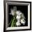 Frayed Tulips-Magda Indigo-Framed Premium Photographic Print