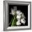 Frayed Tulips-Magda Indigo-Framed Photographic Print