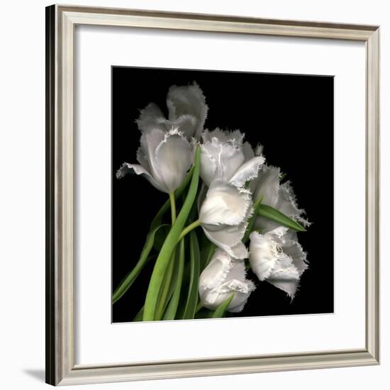 Frayed Tulips-Magda Indigo-Framed Photographic Print