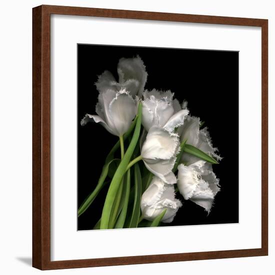 Frayed Tulips-Magda Indigo-Framed Photographic Print