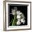 Frayed Tulips-Magda Indigo-Framed Photographic Print