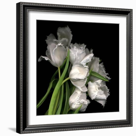 Frayed Tulips-Magda Indigo-Framed Photographic Print