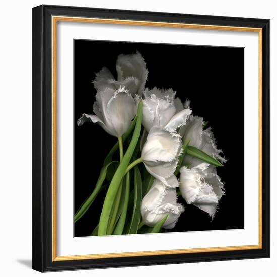 Frayed Tulips-Magda Indigo-Framed Photographic Print