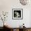 Frayed Tulips-Magda Indigo-Framed Photographic Print displayed on a wall
