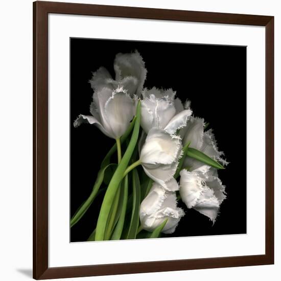 Frayed Tulips-Magda Indigo-Framed Photographic Print