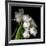 Frayed Tulips-Magda Indigo-Framed Photographic Print