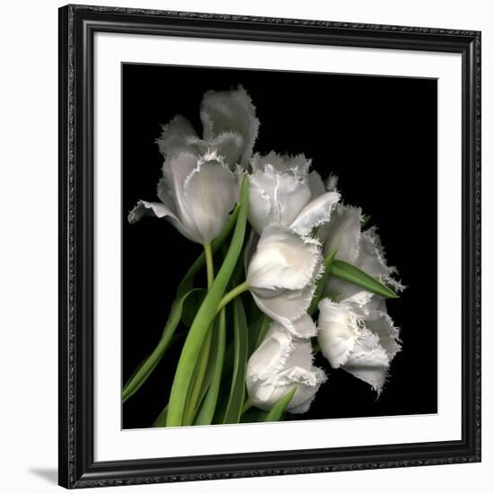 Frayed Tulips-Magda Indigo-Framed Photographic Print