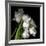 Frayed Tulips-Magda Indigo-Framed Photographic Print