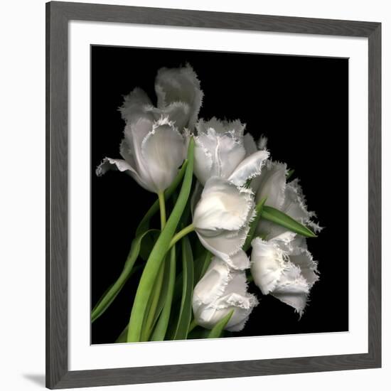 Frayed Tulips-Magda Indigo-Framed Photographic Print