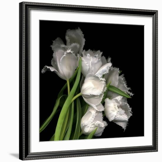 Frayed Tulips-Magda Indigo-Framed Giclee Print