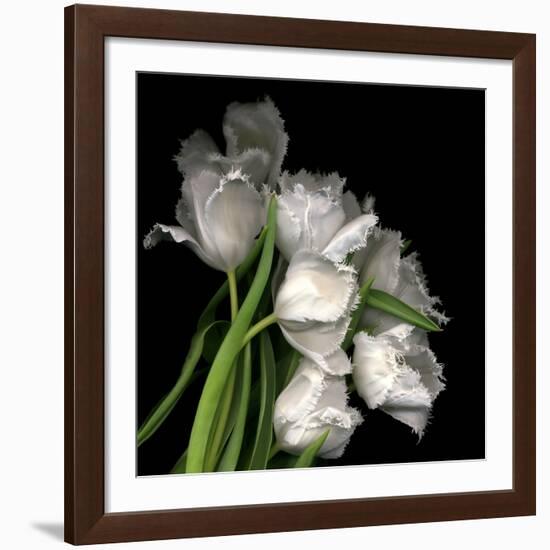 Frayed Tulips-Magda Indigo-Framed Giclee Print