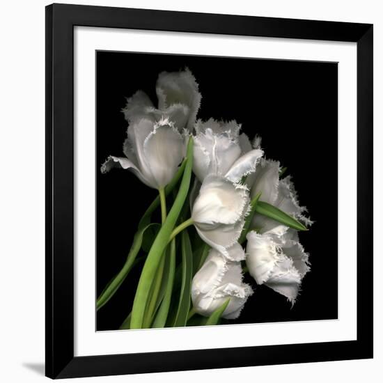 Frayed Tulips-Magda Indigo-Framed Giclee Print