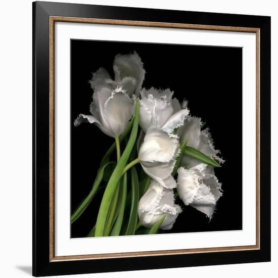 Frayed Tulips-Magda Indigo-Framed Giclee Print